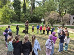 Den Wald mit allen Sinnen entdecken